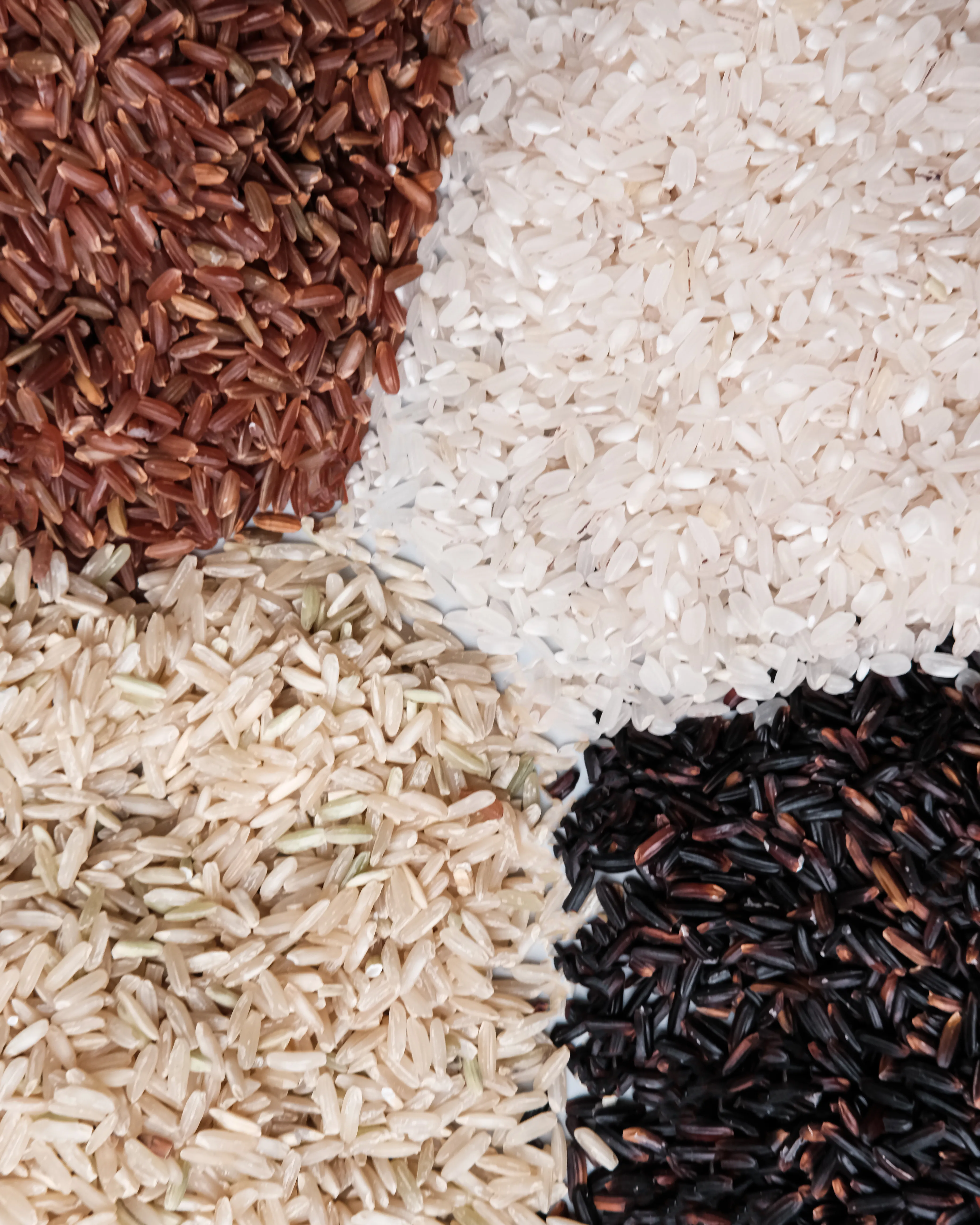 Empat jenis beras organik mentah disusun berdampingan dalam empat petak: beras merah, beras putih, beras coklat, dan beras hitam