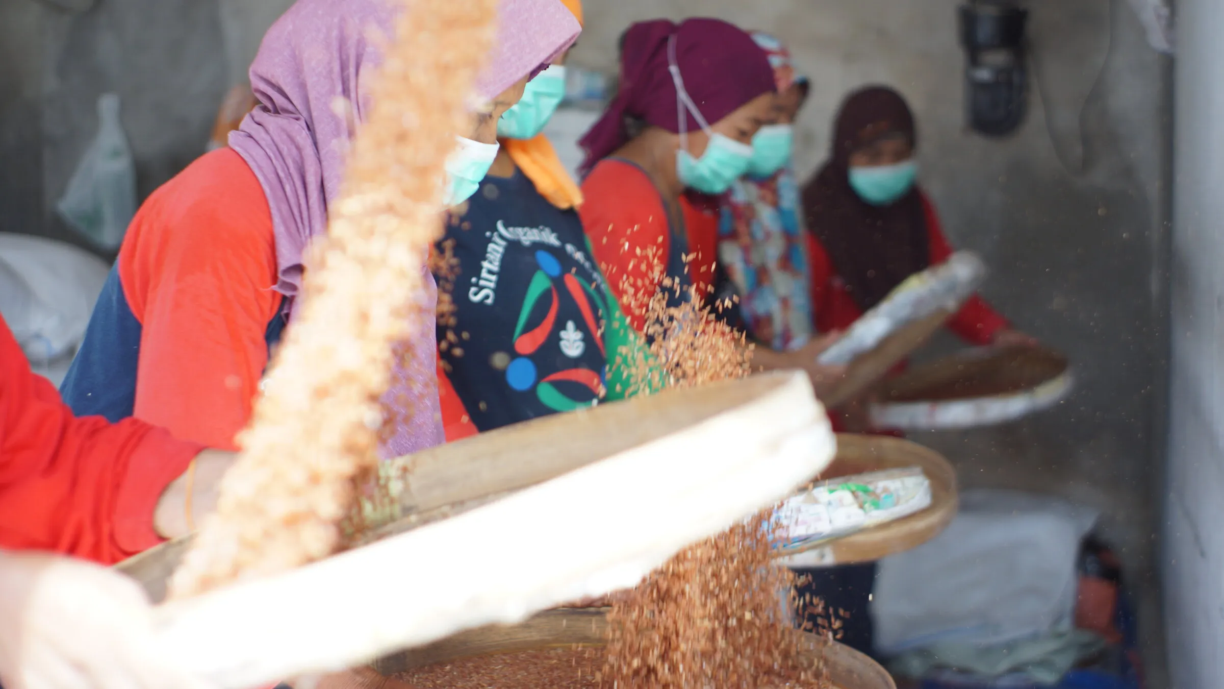 Pekerja Sirtanio menampi beras merah di atas tampah bambu di pabrik Dusun Rumping, beras tercurah ke bawah dan karung-karung tersusun di belakangnya.